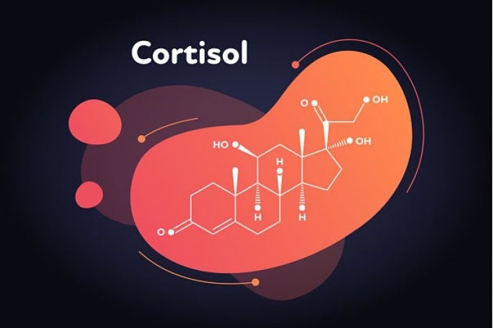 Cortisol là gì
